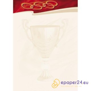 DYPLOM GALERIA PAPIERU A4 SPORT (25)