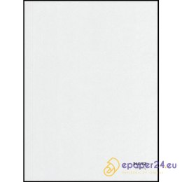 FOLDER TEKTUROWY LEITZ INFINITY A4 BIAŁY