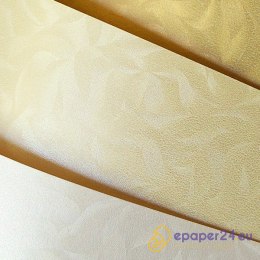 KARTON OZDOBNY A4/220g OLYMPIA PERŁOWA BIEL (20)