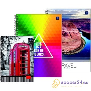 KOŁOBRULION A5 KRATKA 100K