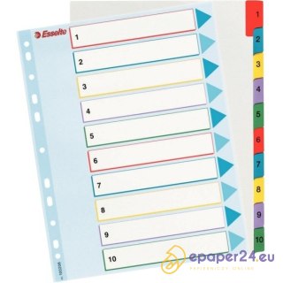 PRZEKŁADKI MYLAR ESSELTE A4 1-10