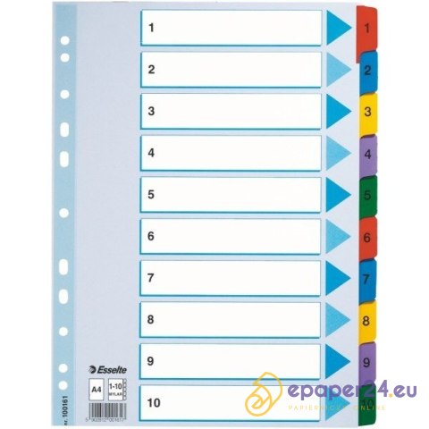 PRZEKŁADKI MYLAR ESSELTE A4 1-10 PRZEKŁADKI MYLAR ESSELTE A4 1-10