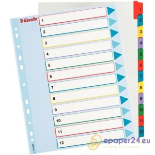 PRZEKŁADKI MYLAR ESSELTE A4 1-12