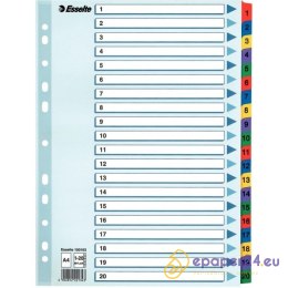 PRZEKŁADKI MYLAR ESSELTE A4 1-20