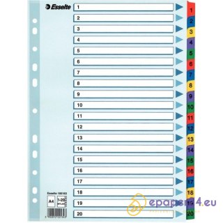 PRZEKŁADKI MYLAR ESSELTE A4 1-20