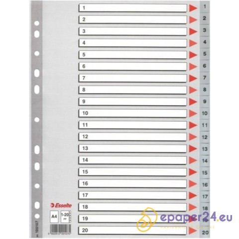 PRZEKŁADKI PP ESSELTE A4 1-20 PRZEKŁADKI PP ESSELTE A4 1-20