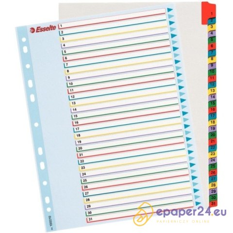PRZEKŁADKI MYLAR ESSELTE A4 1-31 PRZEKŁADKI MYLAR ESSELTE A4 1-31