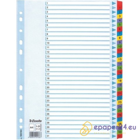 PRZEKŁADKI MYLAR ESSELTE A4 1-31 PRZEKŁADKI MYLAR ESSELTE A4 1-31