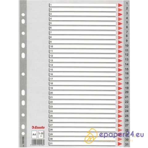 PRZEKŁADKI PP ESSELTE A4 1-31 PRZEKŁADKI PP ESSELTE A4 1-31
