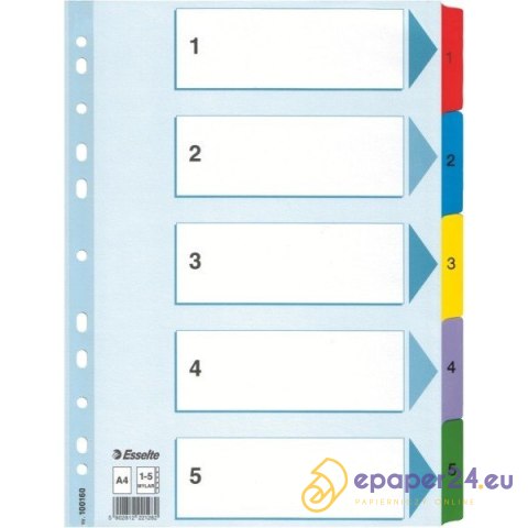 PRZEKŁADKI MYLAR ESSELTE A4 1-5 PRZEKŁADKI MYLAR ESSELTE A4 1-5