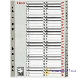 PRZEKŁADKI PP ESSELTE A4 1-54 SZARE