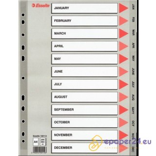 PRZEKŁADKI PP ESSELTE A4 12 MIESIĘCY