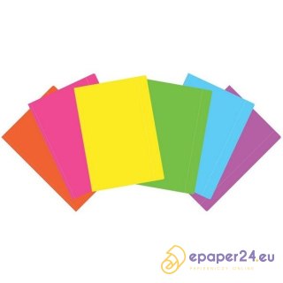 TECZKA KARTONOWA Z GUMKĄ A3+