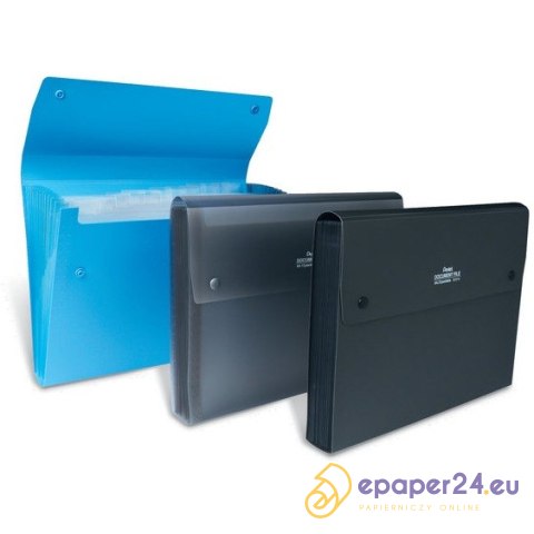 TECZKA PP PENTEL A4/13 PRZEKŁADEK NIEBIESKA TECZKA PP PENTEL A4/13 PRZEKŁADEK NIEBIESKA