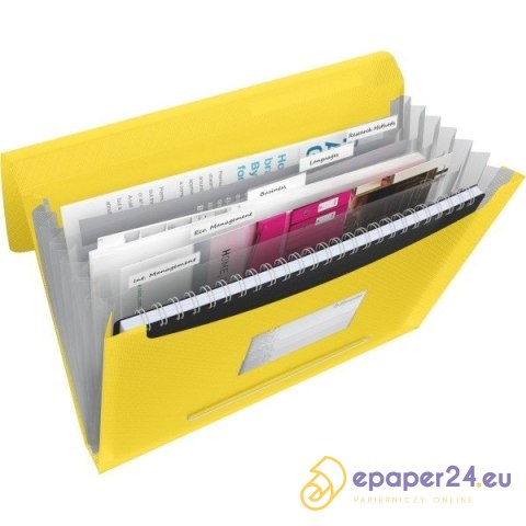 TECZKA ESSELTE VIVIDA 6 PRZEGRÓDEK ŻÓŁTA TECZKA ESSELTE VIVIDA 6 PRZEGRÓDEK ŻÓŁTA