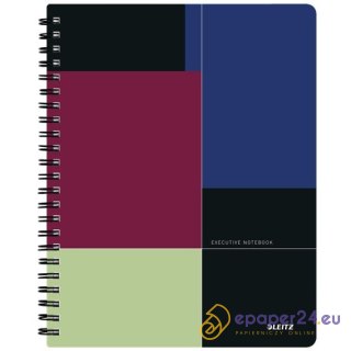 KOŁONOTATNIK LEITZ EXECUTIVE A4/80K LINIA