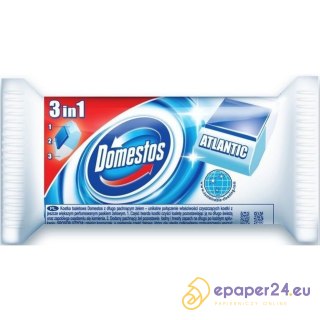 Kostka do Wc Domestos 40g Pine