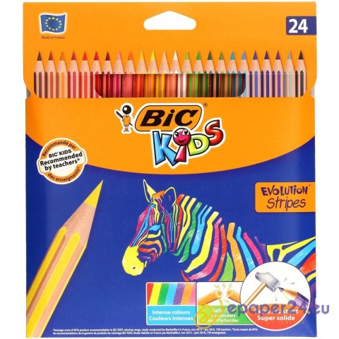 Kredki ołówkowe BiC Kids Evolution Stripes 24 kolory Kredki ołówkowe BiC Kids Evolution Stripes 24 kolory
