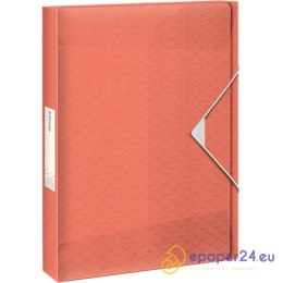 TECZKA PP Z GUMKĄ ESSELTE Colour'Ice A4/40mm BRZOSKWINIOWA