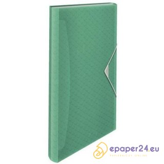 TECZKA PP Z GUMKĄ ESSELTE Colour'Ice A4/6 PRZEGRÓDEK ZIELONA