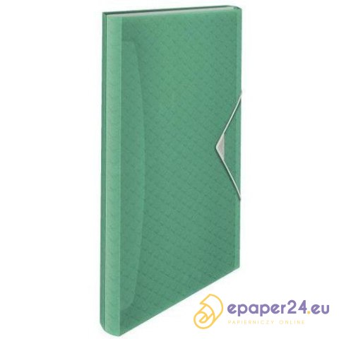 TECZKA PP Z GUMKĄ ESSELTE Colour'Ice A4/6 PRZEGRÓDEK ZIELONA TECZKA PP Z GUMKĄ ESSELTE Colour'Ice A4/6 PRZEGRÓDEK ZIELONA