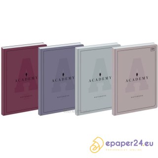 Brulion Interdruk Academy A5/96k kratka