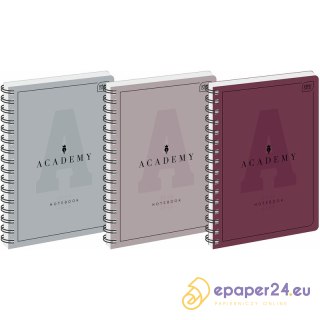 Kołozeszyt Interdruk Academy A4/100k kratka