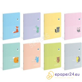 Zeszyt Interdruk B&B Kids Pastel A5/32k 3 linie