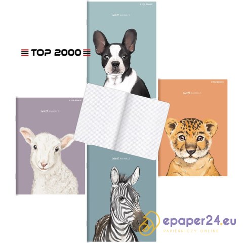 Zeszyt do słówek Top 2000 Sweet Animal A6/16k kratka Zeszyt do słówek Top 2000 Sweet Animal A6/16k kratka