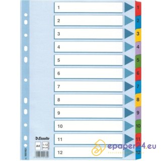 PRZEKŁADKI MYLAR ESSELTE A4 1-12