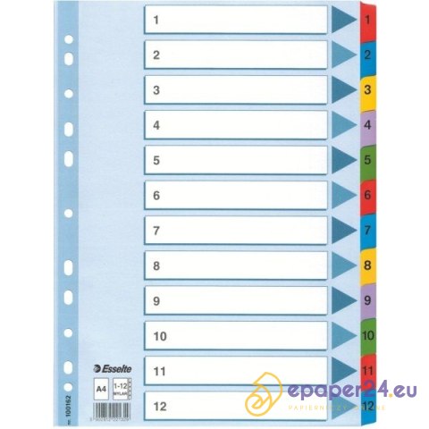 PRZEKŁADKI MYLAR ESSELTE A4 1-12 PRZEKŁADKI MYLAR ESSELTE A4 1-12