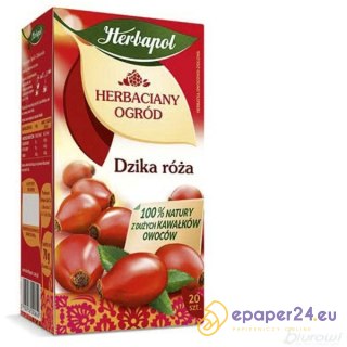 HERBATA HERBAPOL DZIKA RÓŻA (20)