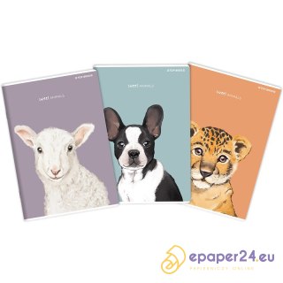 Zeszyt Top 2000 Sweet Animal A4/60k gładki