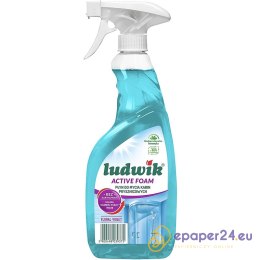 Pianka Ludwik 600ml do czyszczenia kabin prysznicowych